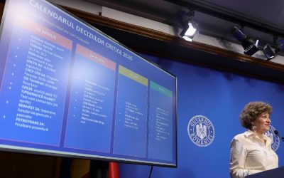 Oana Gheorghiu: Pierderile companiilor de stat, bani pentru 5 spitale regionale