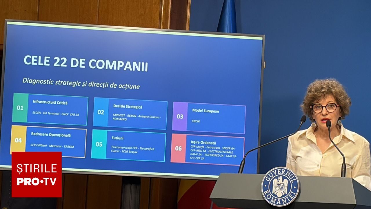Oana Gheorghiu, despre risipă: 1.500 de companii de stat, găuri negre