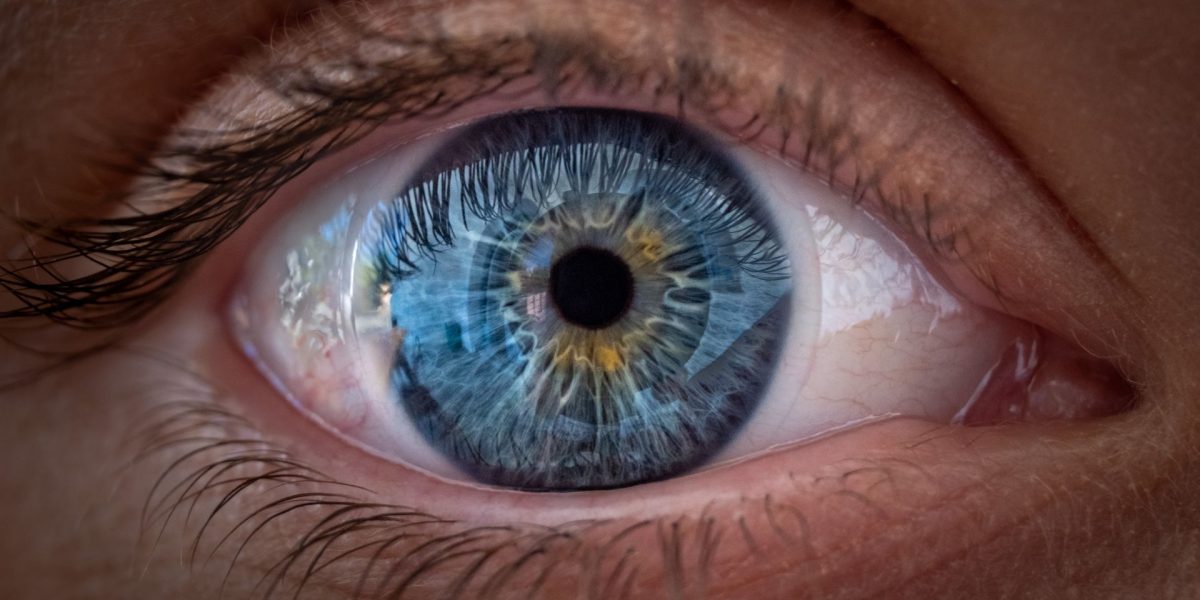 Ochii văd culorile, nu doar claritatea. Studiul-șoc despre focalizare