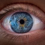 Ochii văd culorile, nu doar claritatea. Studiul-șoc despre focalizare