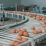 Alertă alimentară: 1,5 milioane ouă cu Salmonella, retrase la Galați, înaintea Paștelui