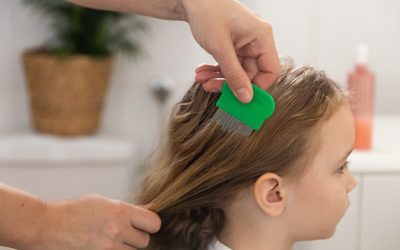 Remedii naturiste ANTI-PĂDUCHI: Scapi efectiv de ei? Ce zic specialiștii!