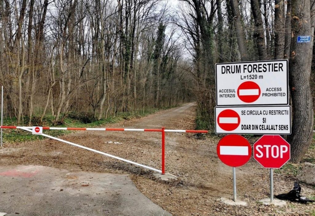 Mașinile, INTERZISE în Pădurea Băneasa: Romsilva închide drumul auto