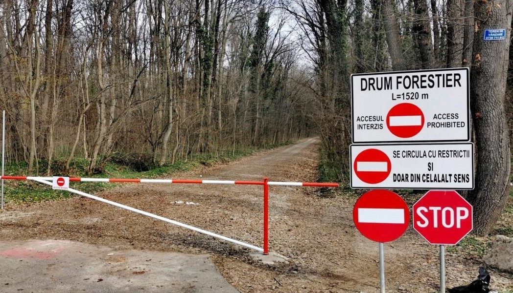 Mașinile, INTERZISE în Pădurea Băneasa: Romsilva închide drumul auto
