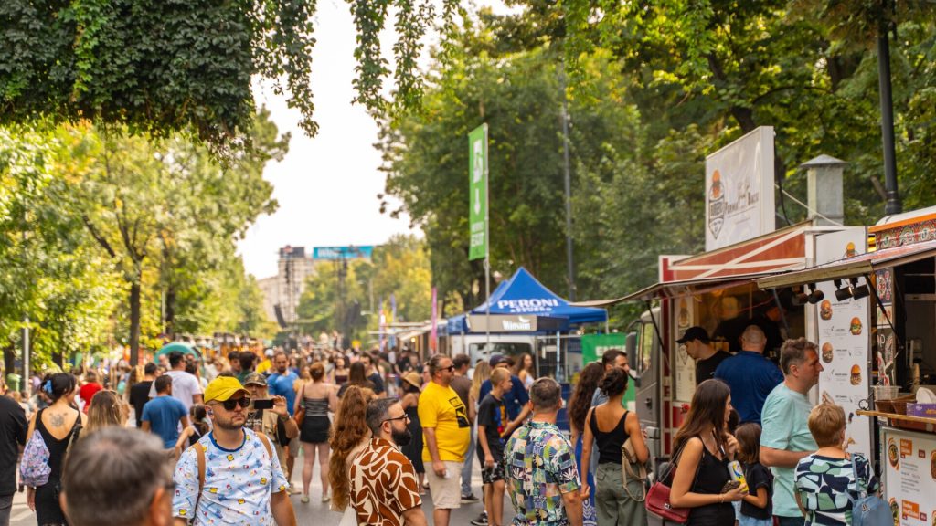 Locuitorii din zona Bulevardul Kiseleff au lansat o petiție pentru a opri organizarea festivalurilor comerciale în parc și pe bulevard, argumentând impactul negativ asupra mediului și calității vieții