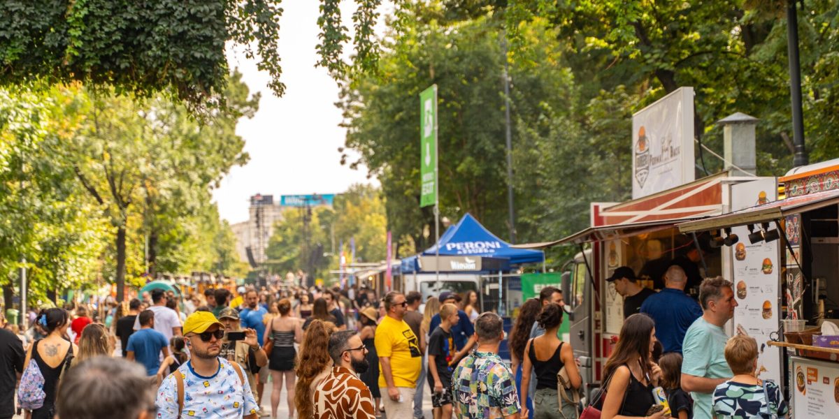 petitie-festivaluri-Bd-Kiseleff.jpg - StiriAlese