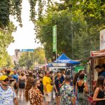 petitie-festivaluri-Bd-Kiseleff.jpg - StiriAlese