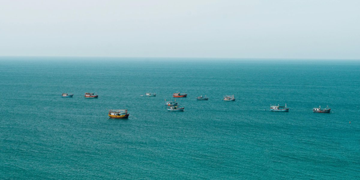 Filipine: China, acuzată că otrăvește Marea Chinei de Sud cu cianură