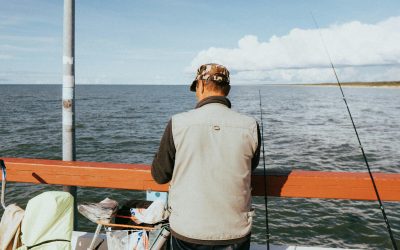 UE: Planul de Pescuit în Marea Baltică, Eșec! Bruxelles cere revizuire