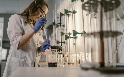 CE oferă Comisia Europeană: 400 milioane € pentru cercetători postdoctorali