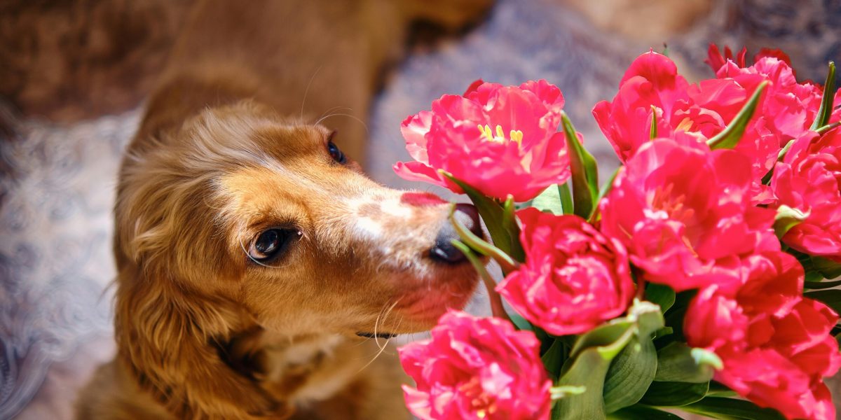 pexels-sb-9341498-scaled.jpg - StiriAlese