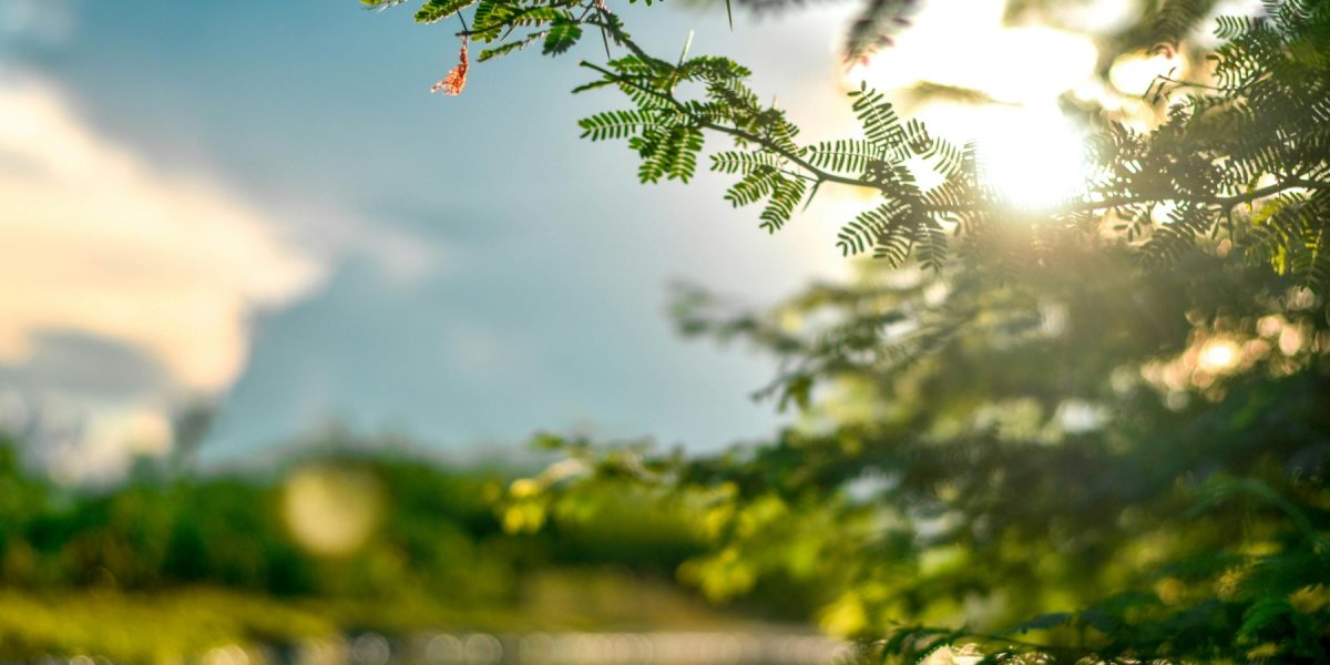 Pielea „iese din iarnă”: Ce spune MEDICUL despre primele raze de soare