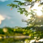 Pielea „iese din iarnă”: Ce spune MEDICUL despre primele raze de soare