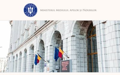 Guvernul vrea să modifice legea lemnului. Ce schimbări pregătește?