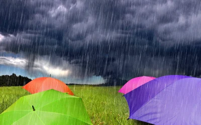 Vremea se strică: ANM a emis cod galben de ploi torențiale. Cum va fi în București?