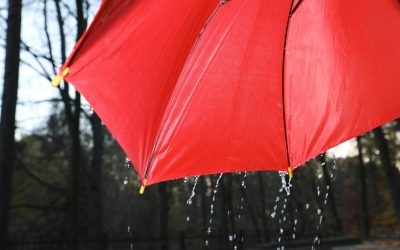 Apa de ploaie, taxată: Proprietarii de locuințe, puși la plată. Ce costuri ascunse vin