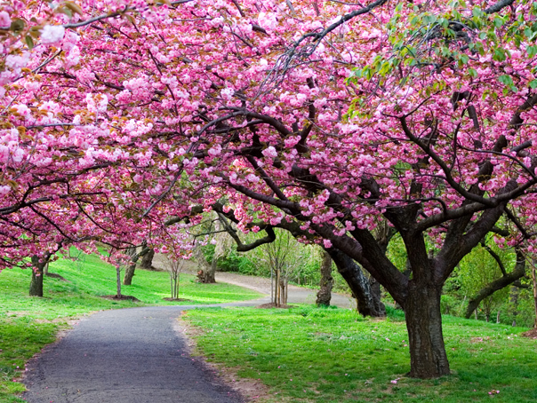 Prognoza ANM: Vreme blândă și puține ploi în următoarele patru săptămâni