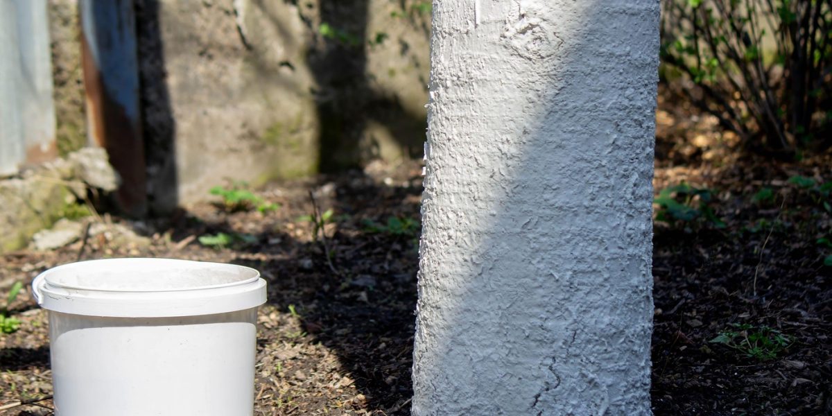 profimedia-0986524313.jpg - StiriAlese