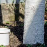 profimedia-0986524313.jpg - StiriAlese