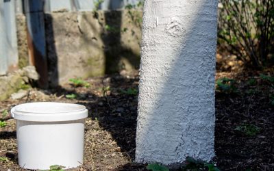 profimedia-0986524313.jpg - StiriAlese