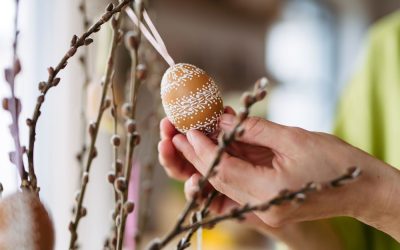 profimedia-1062522265.jpg - StiriAlese