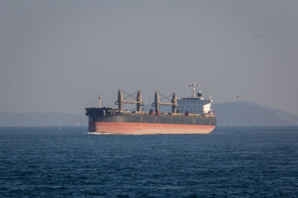 Criza strâmtorii Ormuz: Ce rute ocolitoare caută navele cu mărfuri