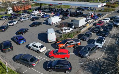 profimedia-1088159957_1.jpg - StiriAlese