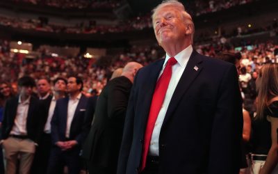 Cum au făcut milioane pariind pe Donald Trump: Scurgeri dinaintea anunțurilor?