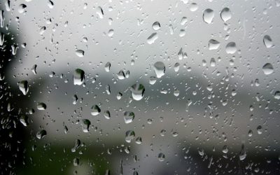 Vremea în București: Temperaturi în scădere și ploi săptămâna viitoare