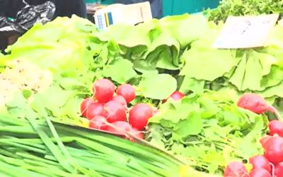 Observator cere lege anti-toxice: Exemplul Danemarca, piețe mai sigure în România