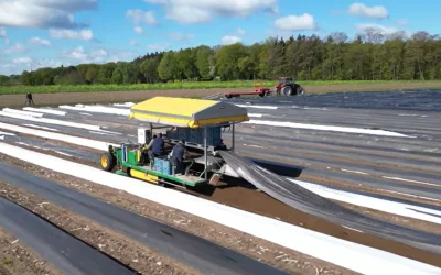 Robotul care înlocuiește românii: Fermele GERMANIEI, automatizate