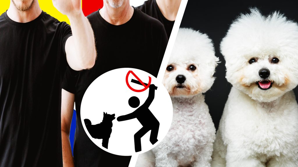 Grupare criminală din Anglia: Schilodire de căței pentru asigurări