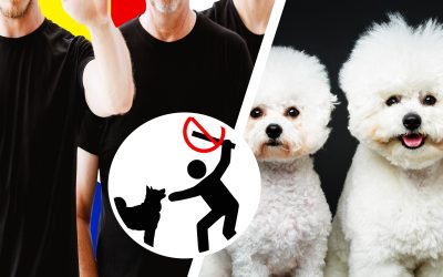 Grupare criminală din Anglia: Schilodire de căței pentru asigurări