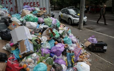 Înființarea unei companii de salubrizare în Sectorul 1, pe masa Consiliului Local