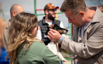 Primul centru județean de adopții canine a fost deschis în Ilfov