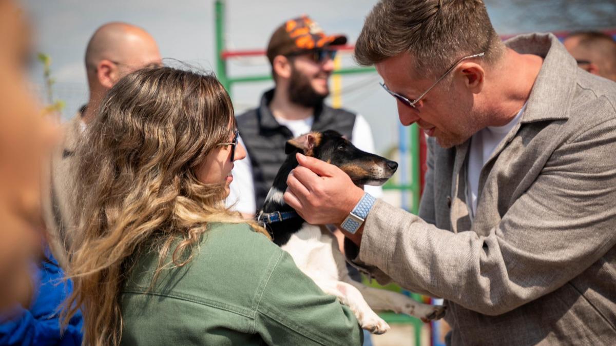 Primul centru județean de adopții canine a fost deschis în Ilfov