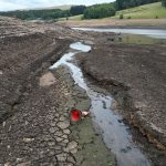 Căldură extremă: Planeta, în pericol. Urmează valuri caniculare greu de suportat