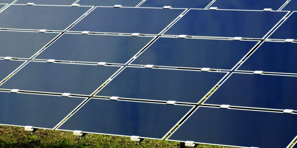 Șase bărbați din Buzău și Vrancea, arestați pentru furt de la un parc fotovoltaic