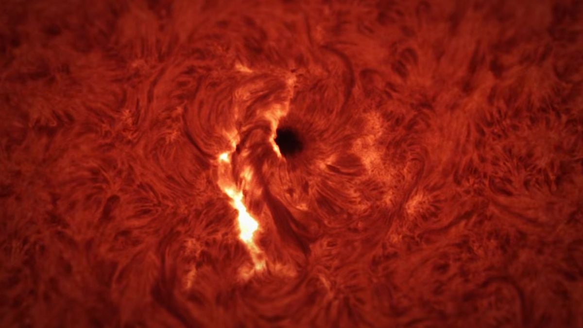 Sunetul apocaliptic al erupțiilor solare: un spectacol horror cosmic