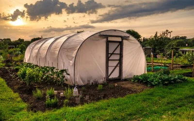 Bani pentru sere și solarii: Guvernul alocă 275 milioane lei pentru fermieri în 2026