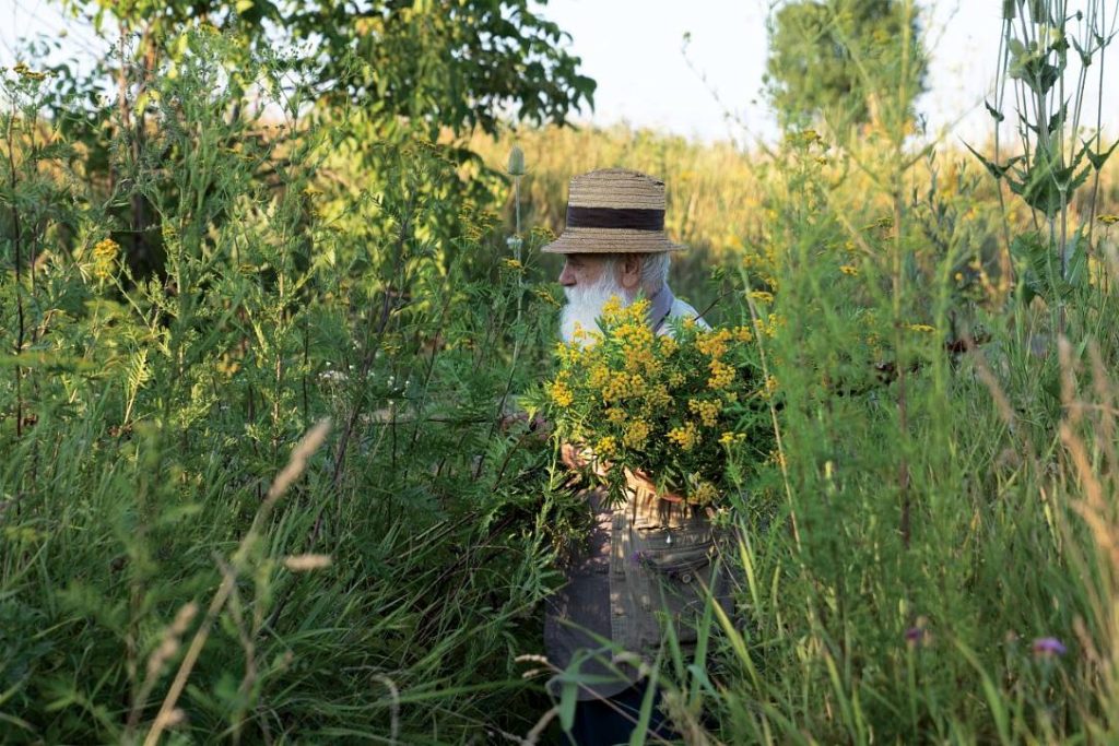 Câlția, magie pe pânză: Expoziție la Sibiu cu teme recurente