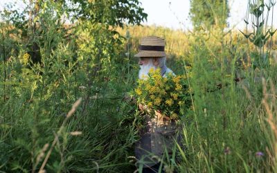 Câlția, magie pe pânză: Expoziție la Sibiu cu teme recurente