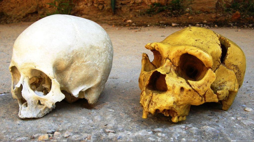 Cum ne influențează NEANDERTHALIENII viața, chiar și acum