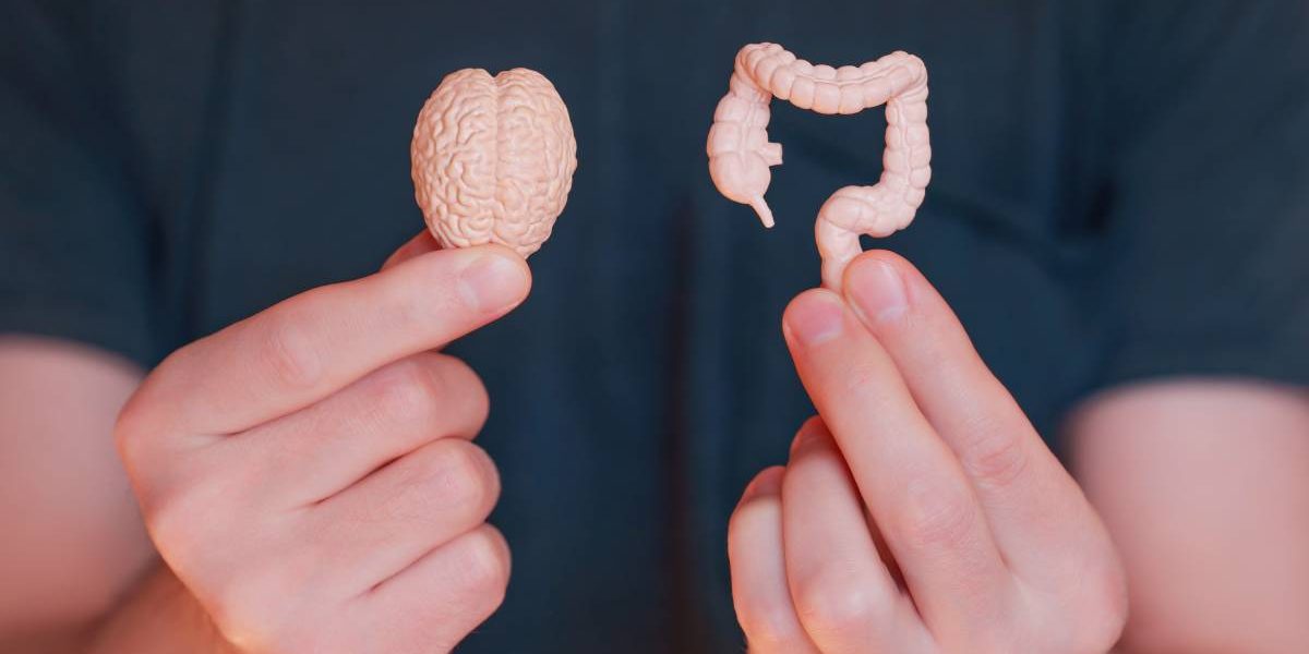 Sărbătorile, coșmarul digestiei: Cum ne afectează stresul de Sărbători