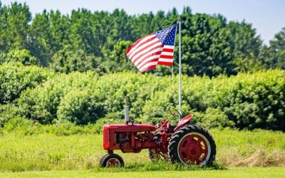 Criza îngrășămintelor: SUA exportă masiv, prețurile explodează din cauza Iranului