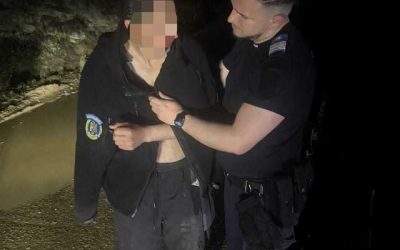 Tânăr, urmărit de urs în Bistrița-Năsăud: Jandarmii, eroi în misiune – FOTO, VIDEO