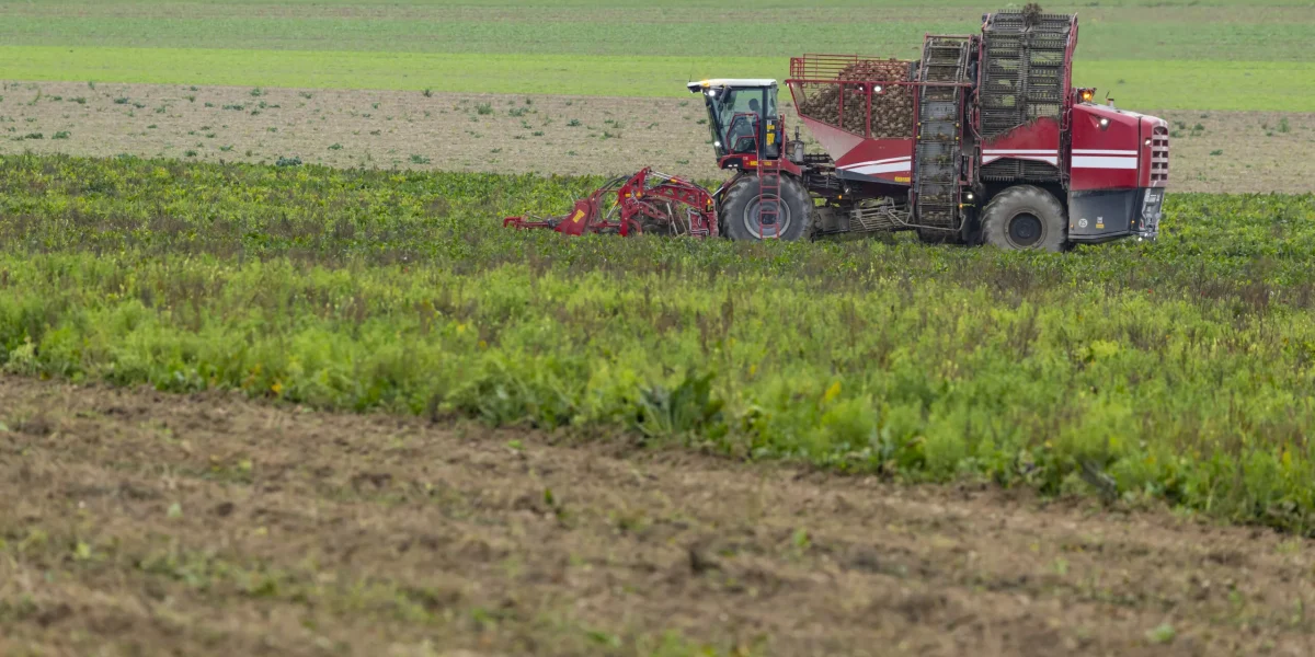 teren-agricol-scaled.jpg - StiriAlese