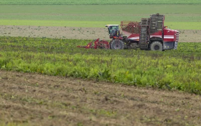 teren-agricol-scaled.jpg - StiriAlese