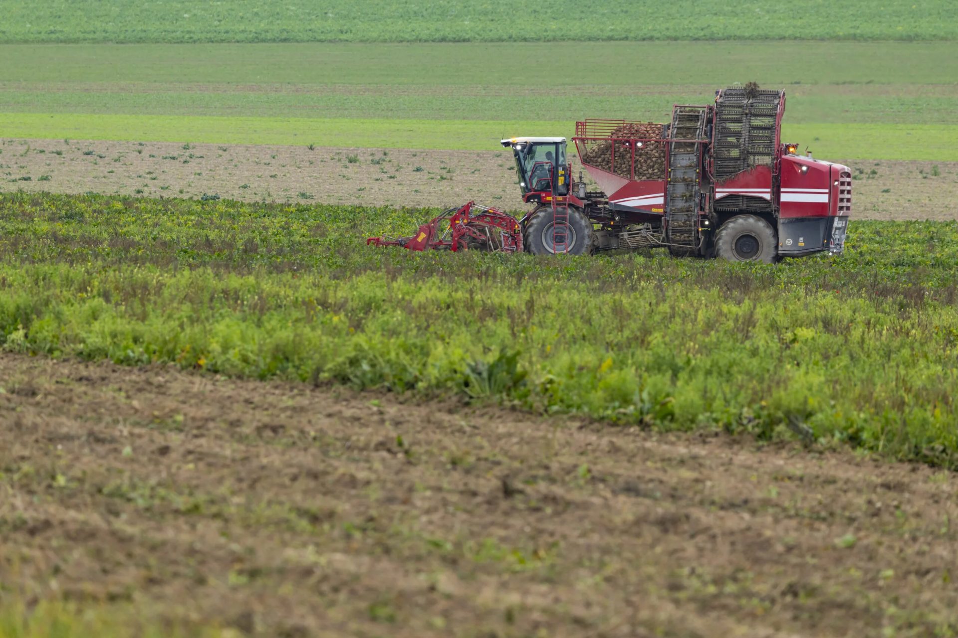 Vremea din perioada 4–10 aprilie favorizează desfășurarea proceselor biologice în majoritatea regiunilor agricole ale României, conform anunțurilor meteorologice și evaluărilor specialiștilor
