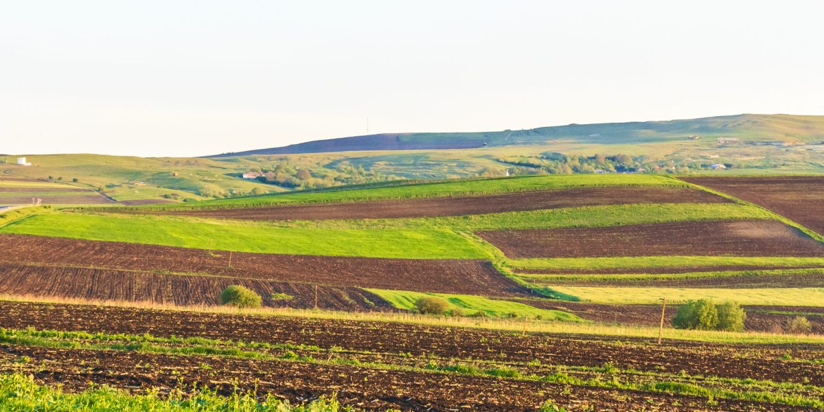 Arendă 2026: Arendatori și arendași, ce drepturi și obligații au?